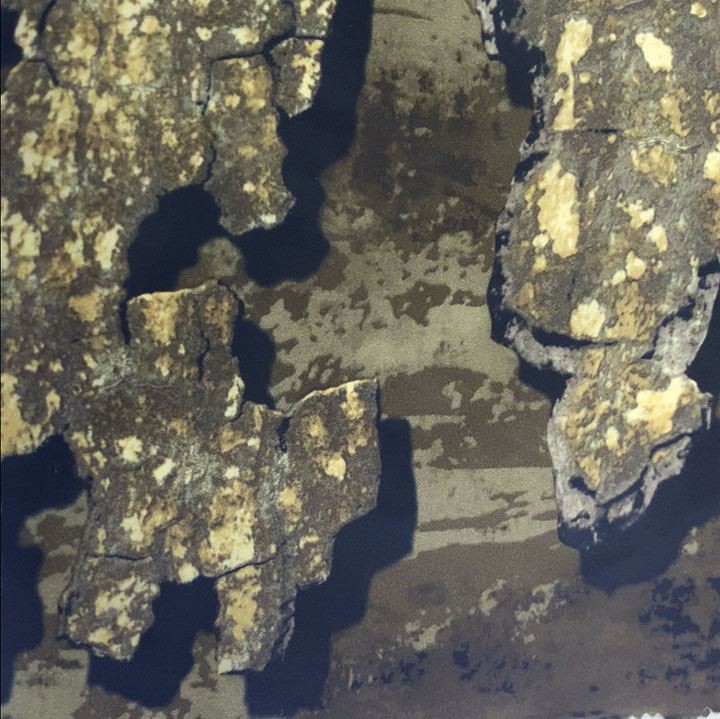 05c4504c93655b97bdac95b3ea6ad47