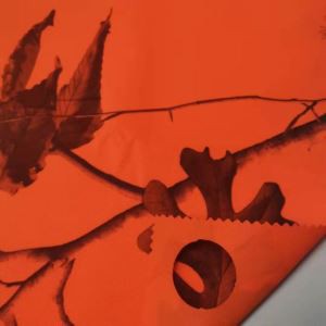 聚酯棉华达呢面料雷竞技app安卓下载