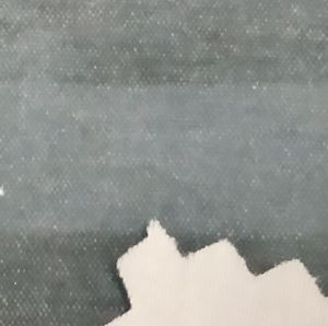 TC Stetch印花织物雷竞技app安卓下载